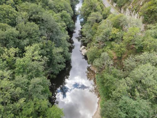 Les gardiens des gorges de la Sioule [30-07-2022](1129).jpg